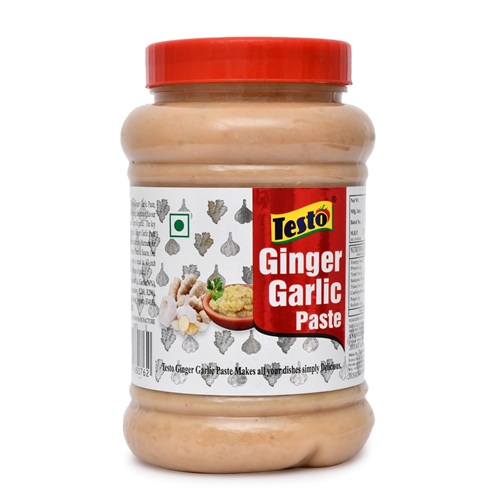 Testo Ginger Garlic Paste 500gm