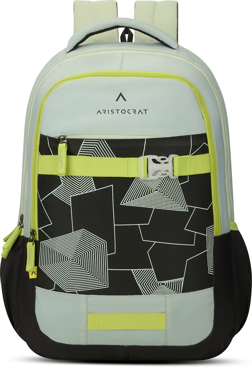 ARISTOCRAT Medium 30 L Backpack Buzz Casual Bag – image 1