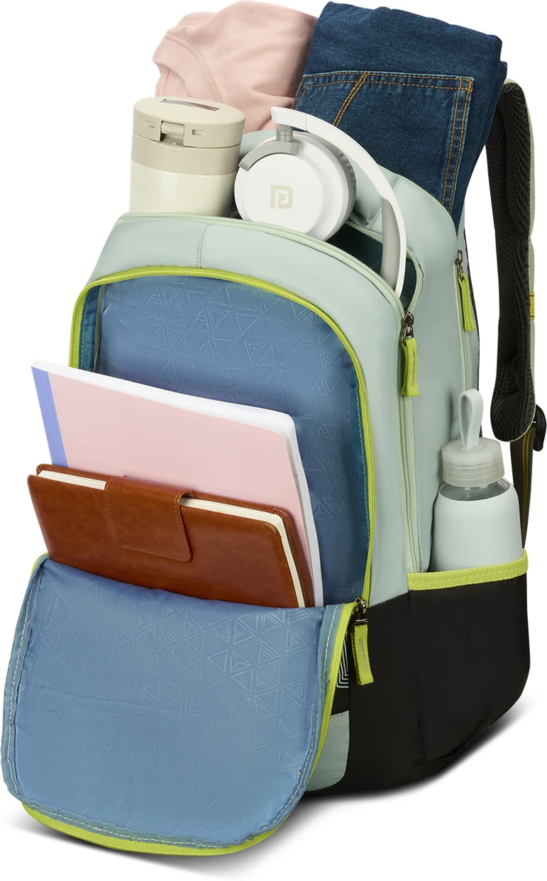 ARISTOCRAT Medium 30 L Backpack Buzz Casual Bag – image 2