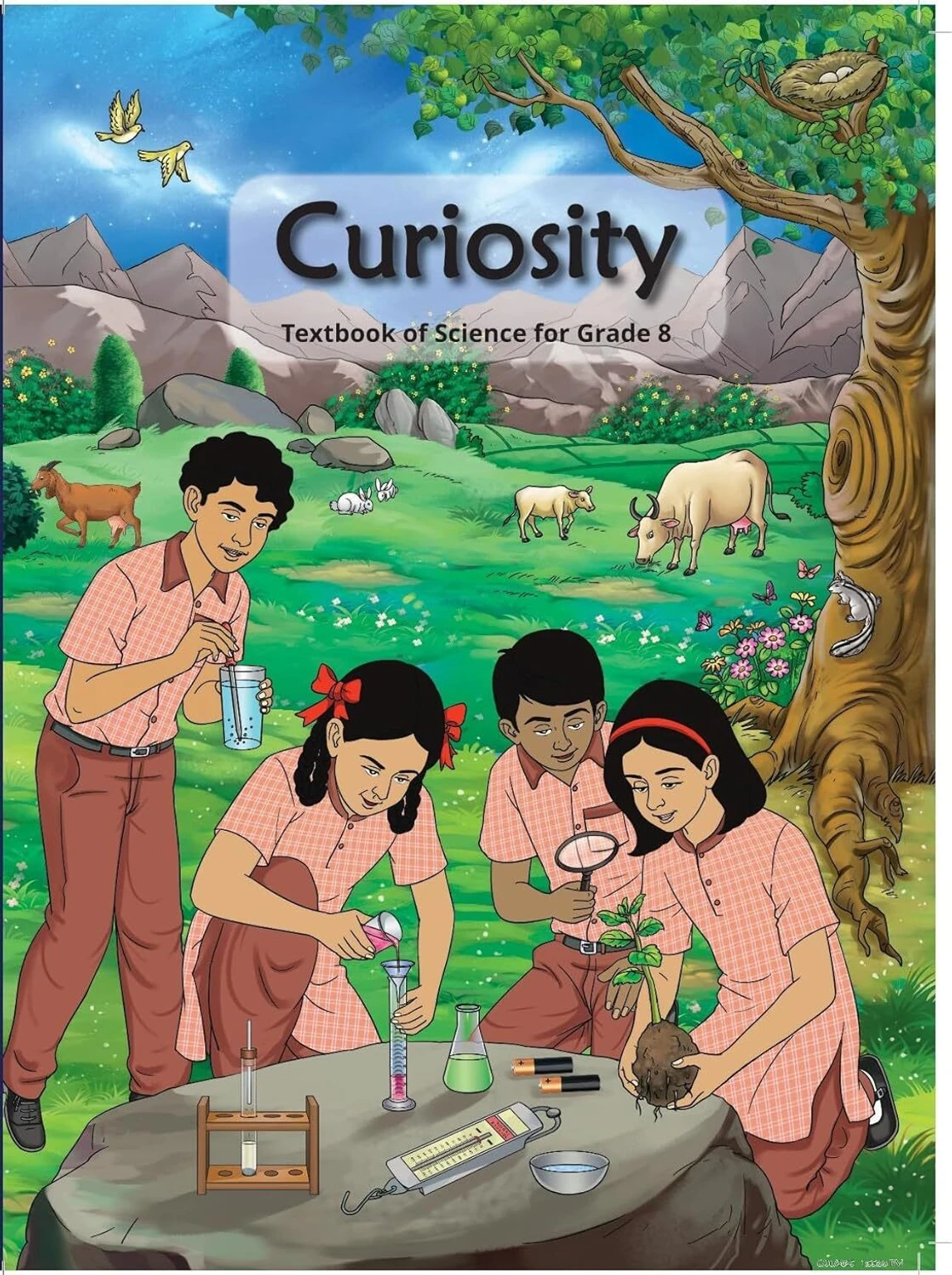 NCERT Curiosity Class-8  – image 1