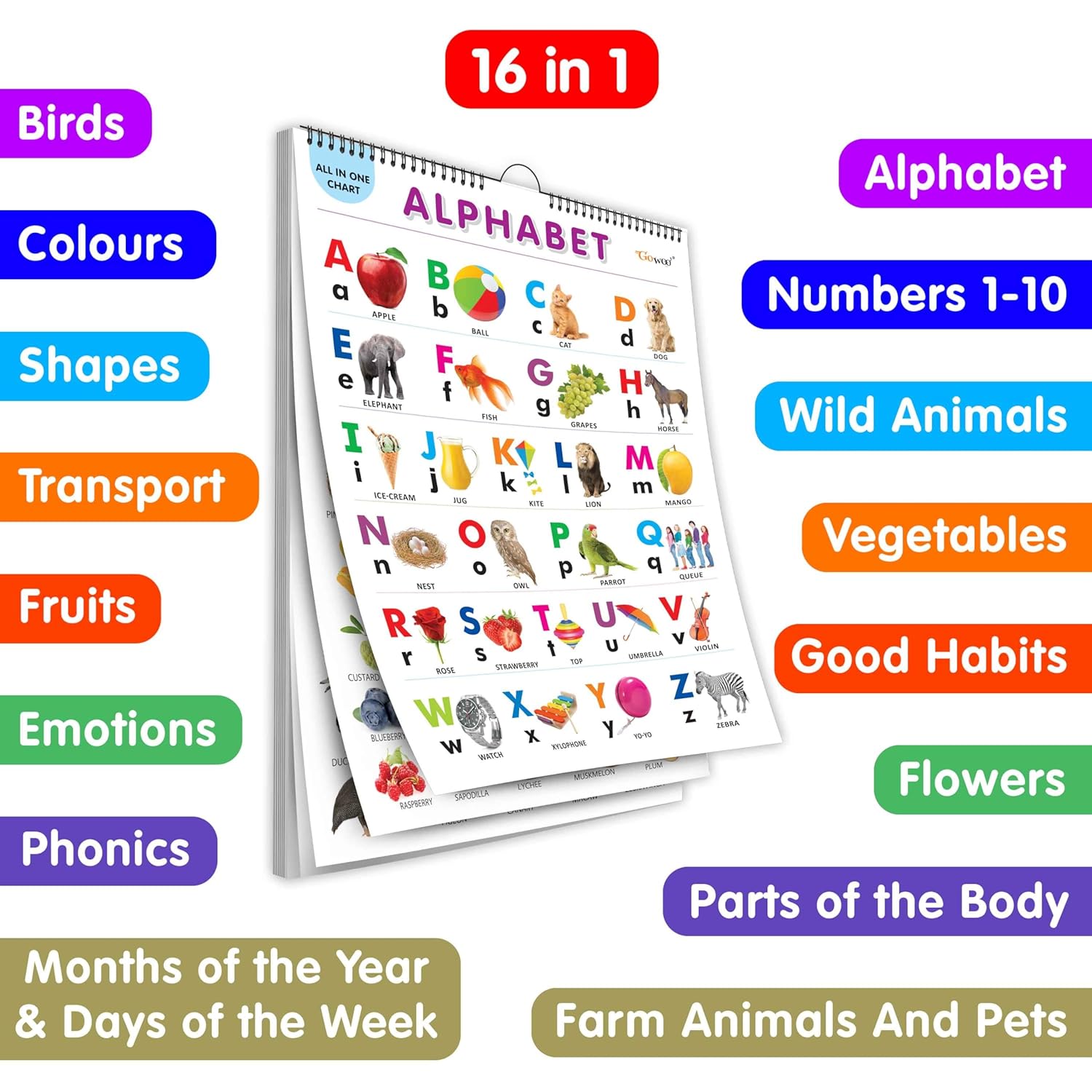 My First ALL IN ONE SPIRAL CHART : With 16 Topics  | Gift Set For Kids – image 1