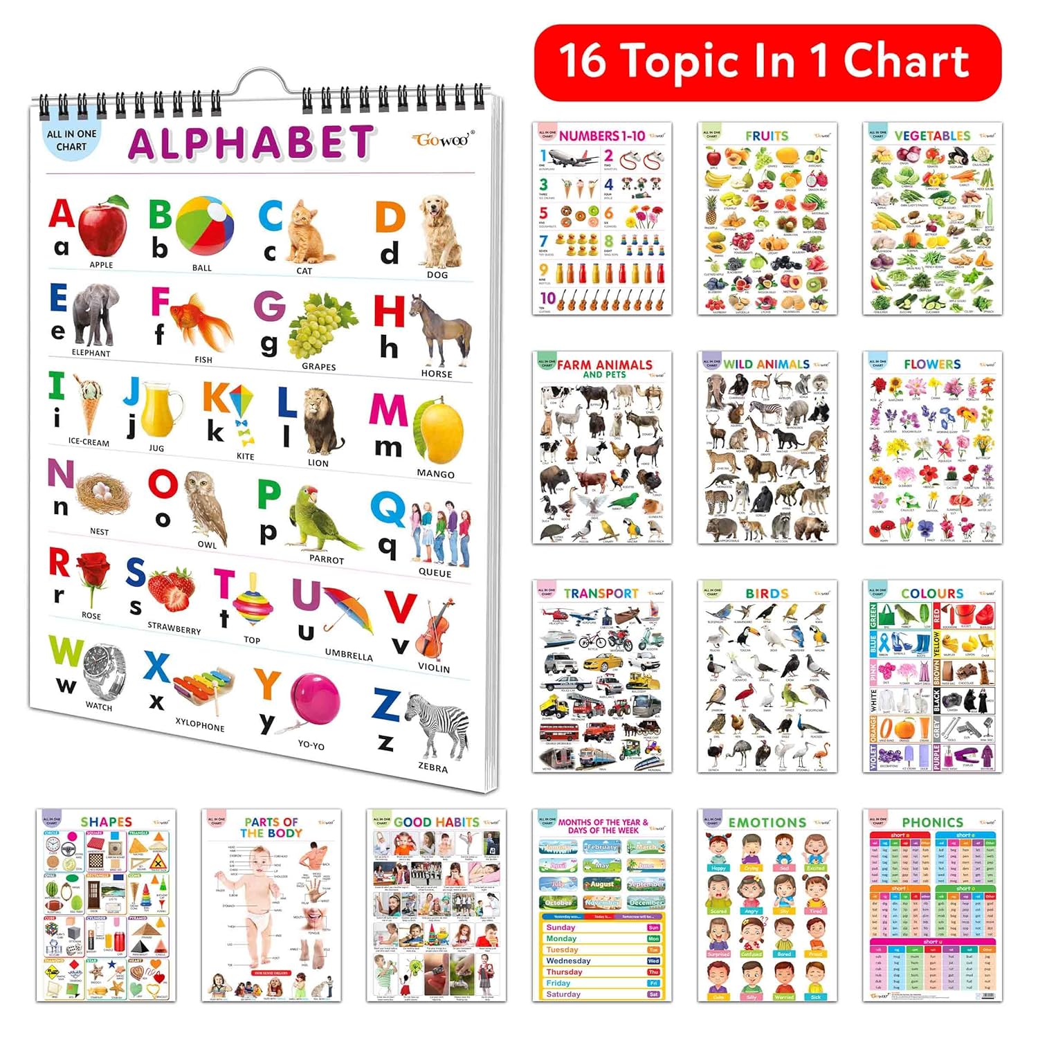 My First ALL IN ONE SPIRAL CHART : With 16 Topics  | Gift Set For Kids – image 2