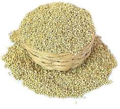 Bajra Sabut (Whole Pearl Millet) – image 2
