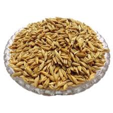 Jau Sabut (Whole Barley) – image 4
