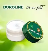 Boroline Antiseptic Ayurvedic Cream – 40 g – image 3