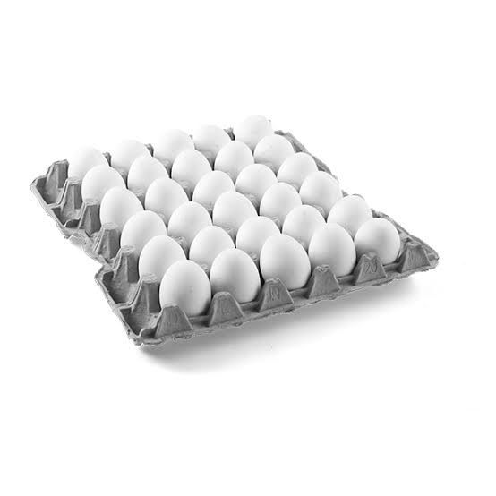 Egg tray 30 pcs – image 5