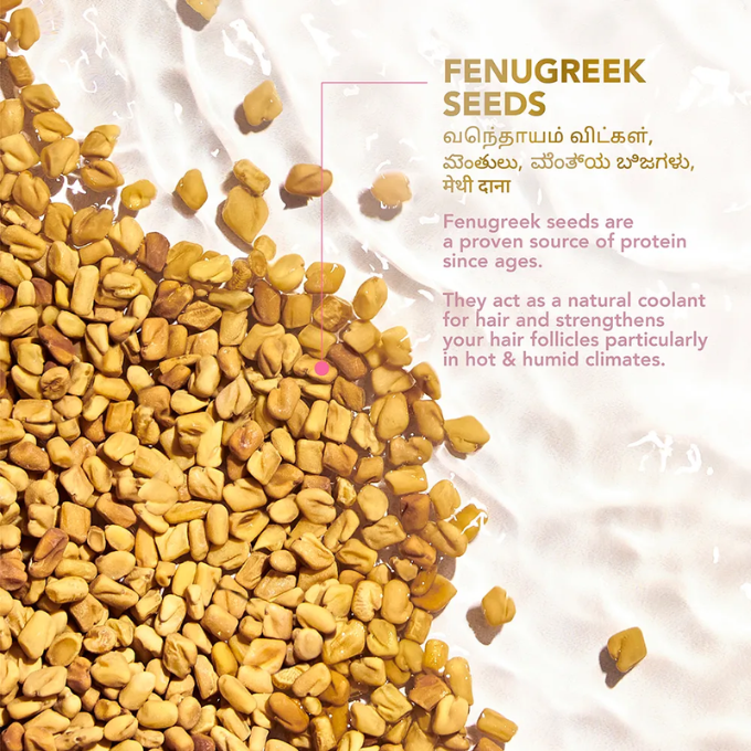 Clinic Plus Strength & Smooth Shampoo, Fenugreek Protein + Hibiscus – image 4