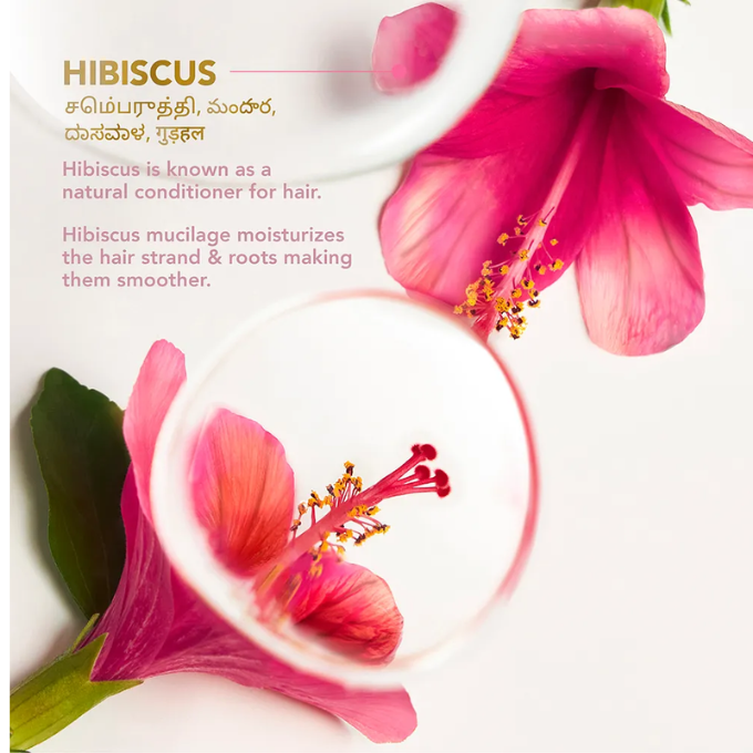 Clinic Plus Strength & Smooth Shampoo, Fenugreek Protein + Hibiscus – image 5