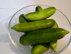 KOVAKKA (NADAN)