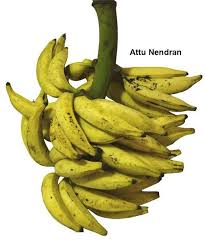 BANANA ORGANIC (NENDHRAN)