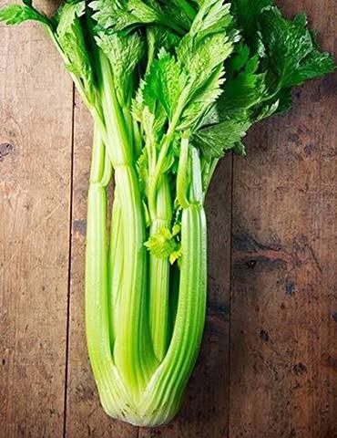 CELLARI GREEN  – image 1