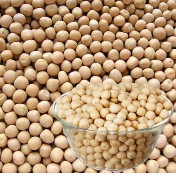 White Green Peas / White Peas (Vella Pattani)