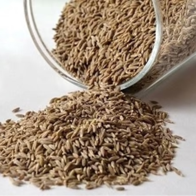 Jeerakam (Cumin Seeds / Jeera)