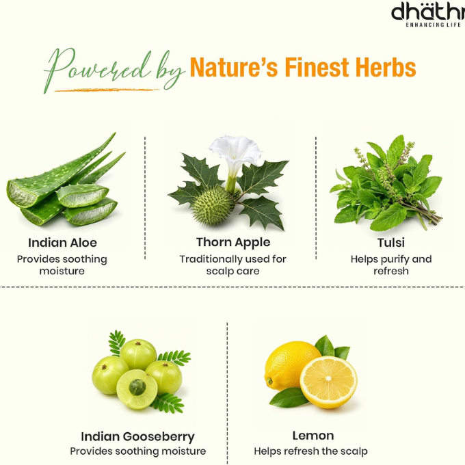 Dhathri Dheedhi Lime Shampoo 250ml, Buy 1 Get 1 Free – image 3