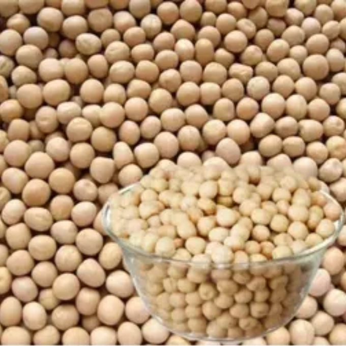 White Green Peas / White Peas (Vella Pattani)