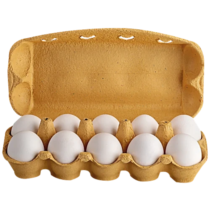 Fresho Egg Regular