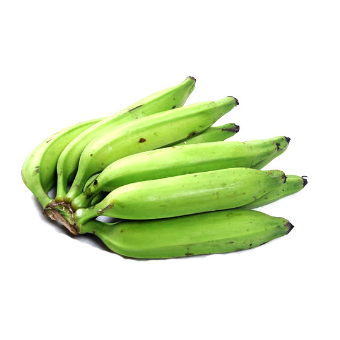  PACHAKAYA 