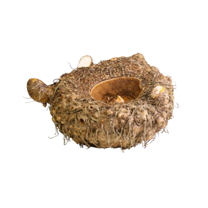Elephant Foot Yam ( chena )