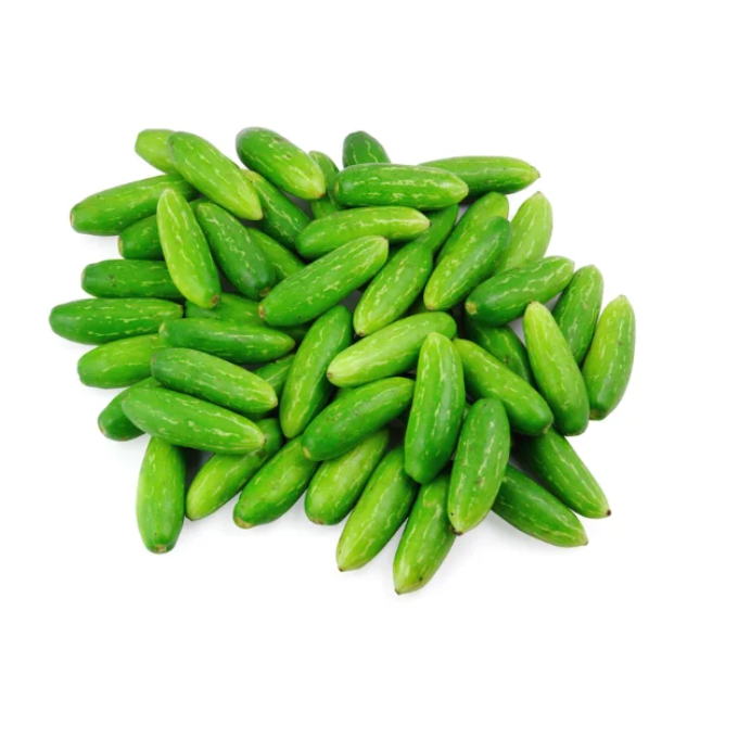 Ivy gourd (kovakka) – image 1