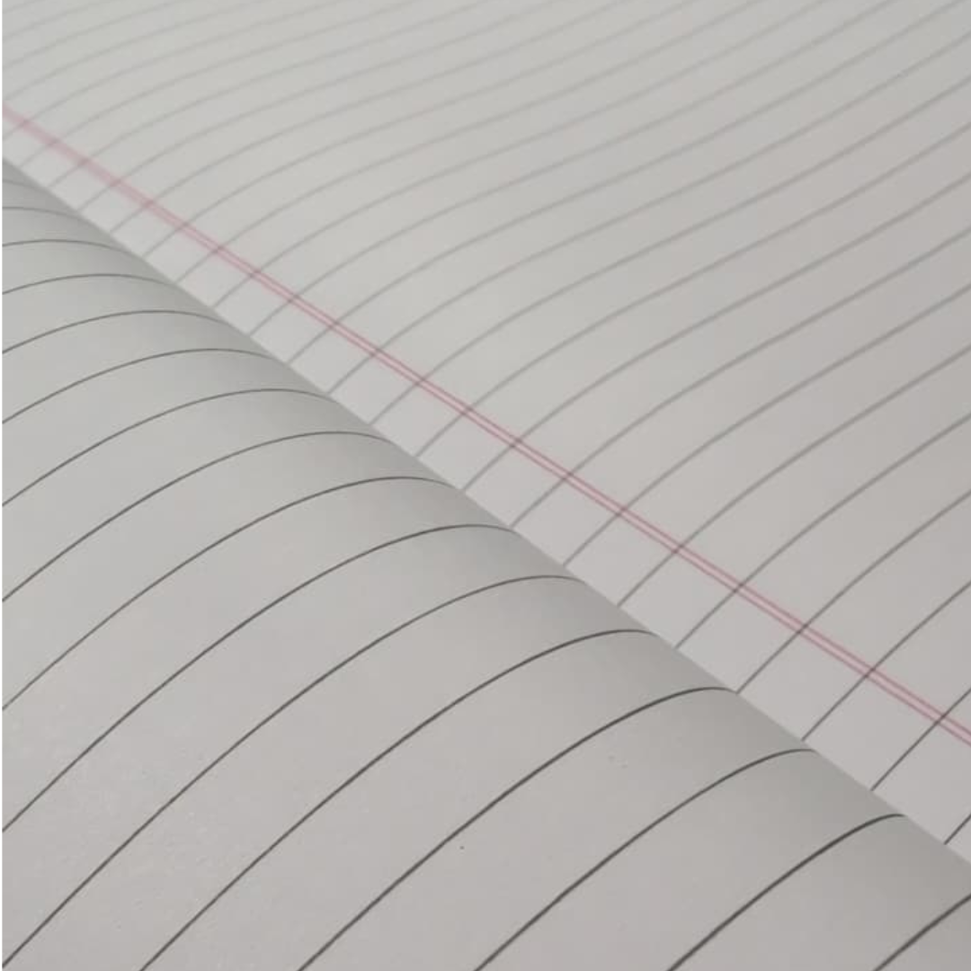 Freemind NRI Range Register Both side ruled / Hindi register - 160 pages ( 29 x 21 cm )  – image 2