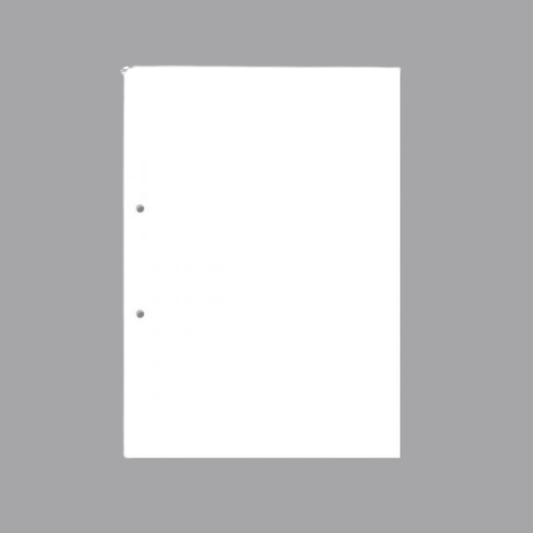 Punched drawing sheet pack / Plain sheets for file (20 sheets) /  file pages / Plain A4 sheets / Plain A4 Papers