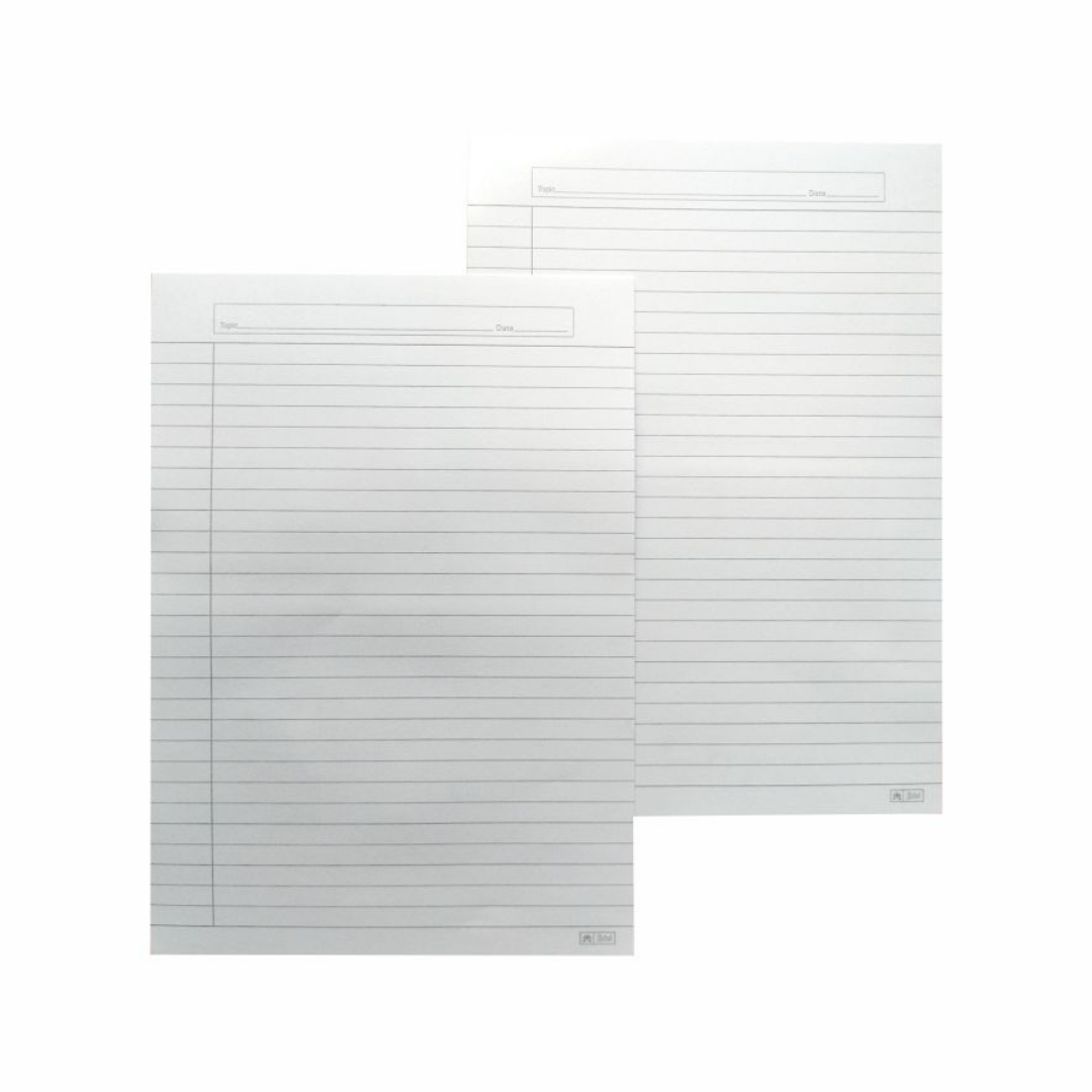 Lotus Both side ruled sheets / A4 size hindi sheets for file / Hindi project file - 20 papers