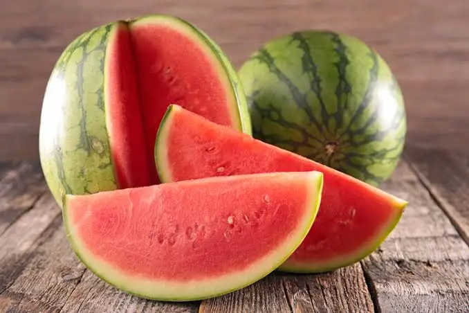Watermelon / Tarbuj – image 1