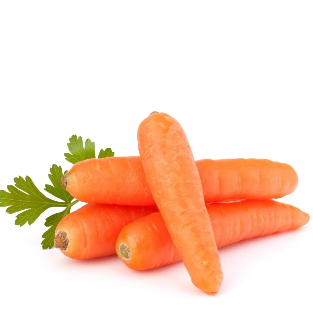 Carrot /  (Gajar)