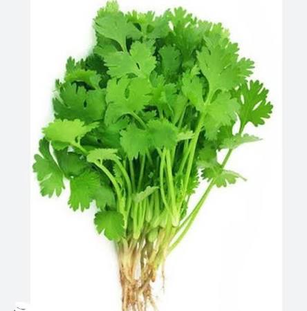 Coriander Bunch ( Dhaniya Patta / Danwal), 100g – image 1