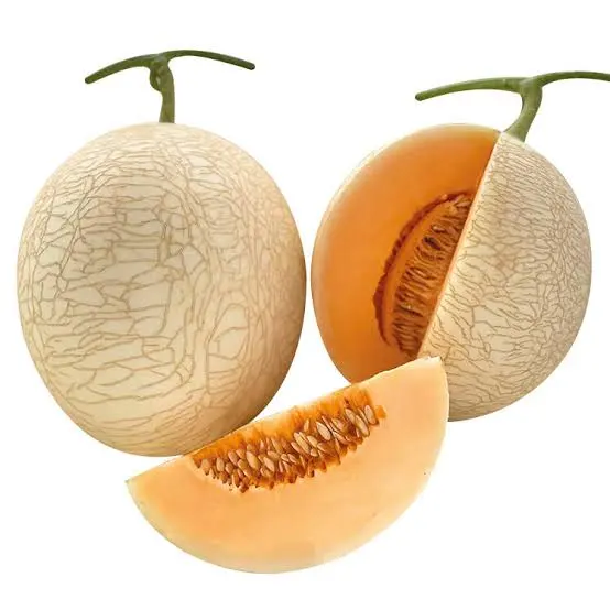 Melon / Kharbooz (Bengaluru Melon)