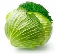 Cabbage (Patta Gobhi) 1 Kg - 1.5 Kg